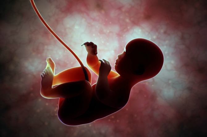Đầu thai là phương thức chuyển kiếp của linh hồn một người sau khi mất đi trên trần thế